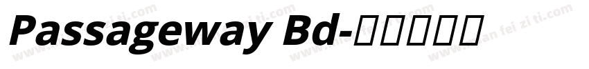 Passageway Bd字体转换